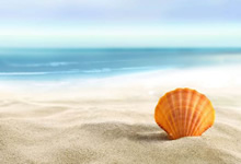 <span style='color:#fa192c'>紧急公告铁柱网旗下福利美图即将解散</span>