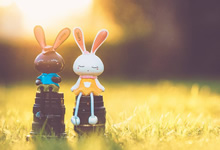 <span style='color:#fa192c'>紧急公告铁柱网旗下福利美图即将解散</span>