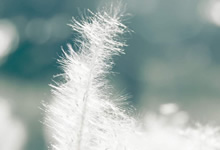 <span style='color:#fa192c'>紧急公告铁柱网旗下福利美图即将解散</span>