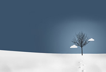 <span style='color:#fa192c'>紧急公告铁柱网旗下福利美图即将解散</span>