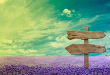 <span style='color:#fa192c'>紧急公告铁柱网旗下福利美图即将解散</span>