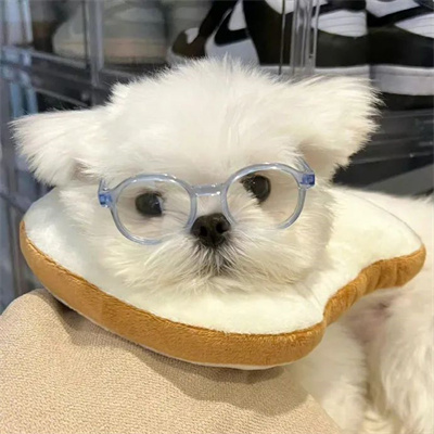 2023最新微信小动物情侣头像图片 高清可爱的萌宠情头一左一右