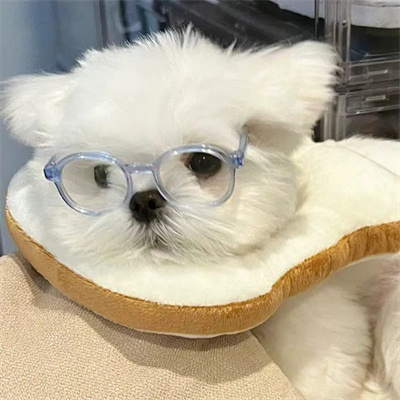 2023最新微信小动物情侣头像图片 高清可爱的萌宠情头一左一右