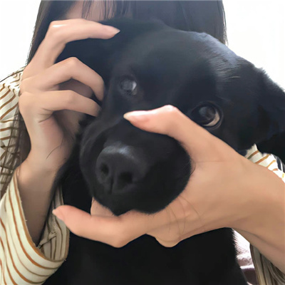 2022最火爆新款可爱情侣头像 小众好看的对象不是人系列微信情头