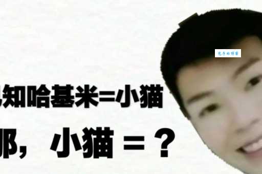 哈基米日语是什么意思?揭秘爆红网络的“哈基米”梗的起源