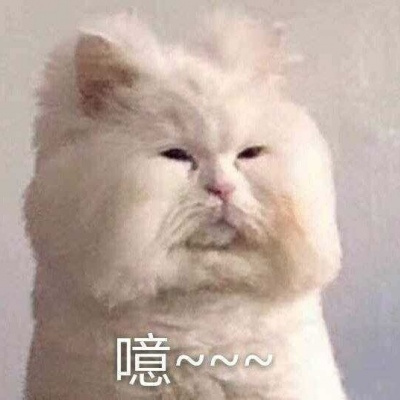 逗比头像沙雕女男生可爱图片 个性搞怪头像女男通用微信头像搞笑