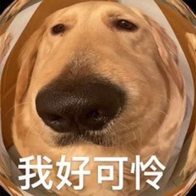 逗比头像沙雕女男生可爱图片 个性搞怪头像女男通用微信头像搞笑