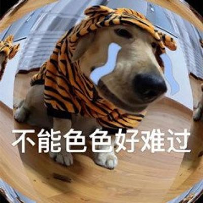 逗比头像沙雕女男生可爱图片 个性搞怪头像女男通用微信头像搞笑