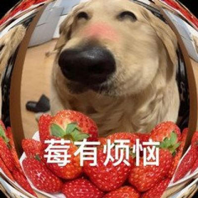 逗比头像沙雕女男生可爱图片 个性搞怪头像女男通用微信头像搞笑