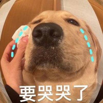 逗比头像沙雕女男生可爱图片 个性搞怪头像女男通用微信头像搞笑