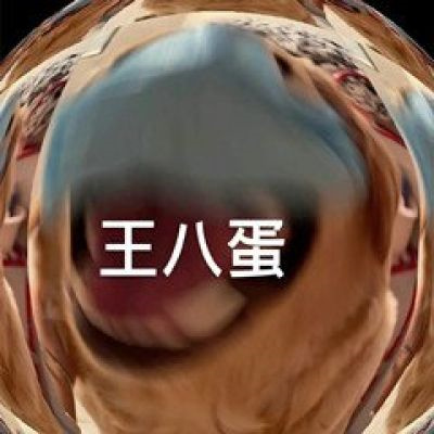 逗比头像沙雕女男生可爱图片 个性搞怪头像女男通用微信头像搞笑