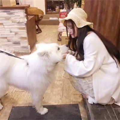 2023最新qq情侣头像情侣专用图片 2023年情侣头像一左一右两张