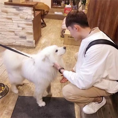 2023最新qq情侣头像情侣专用图片 2023年情侣头像一左一右两张