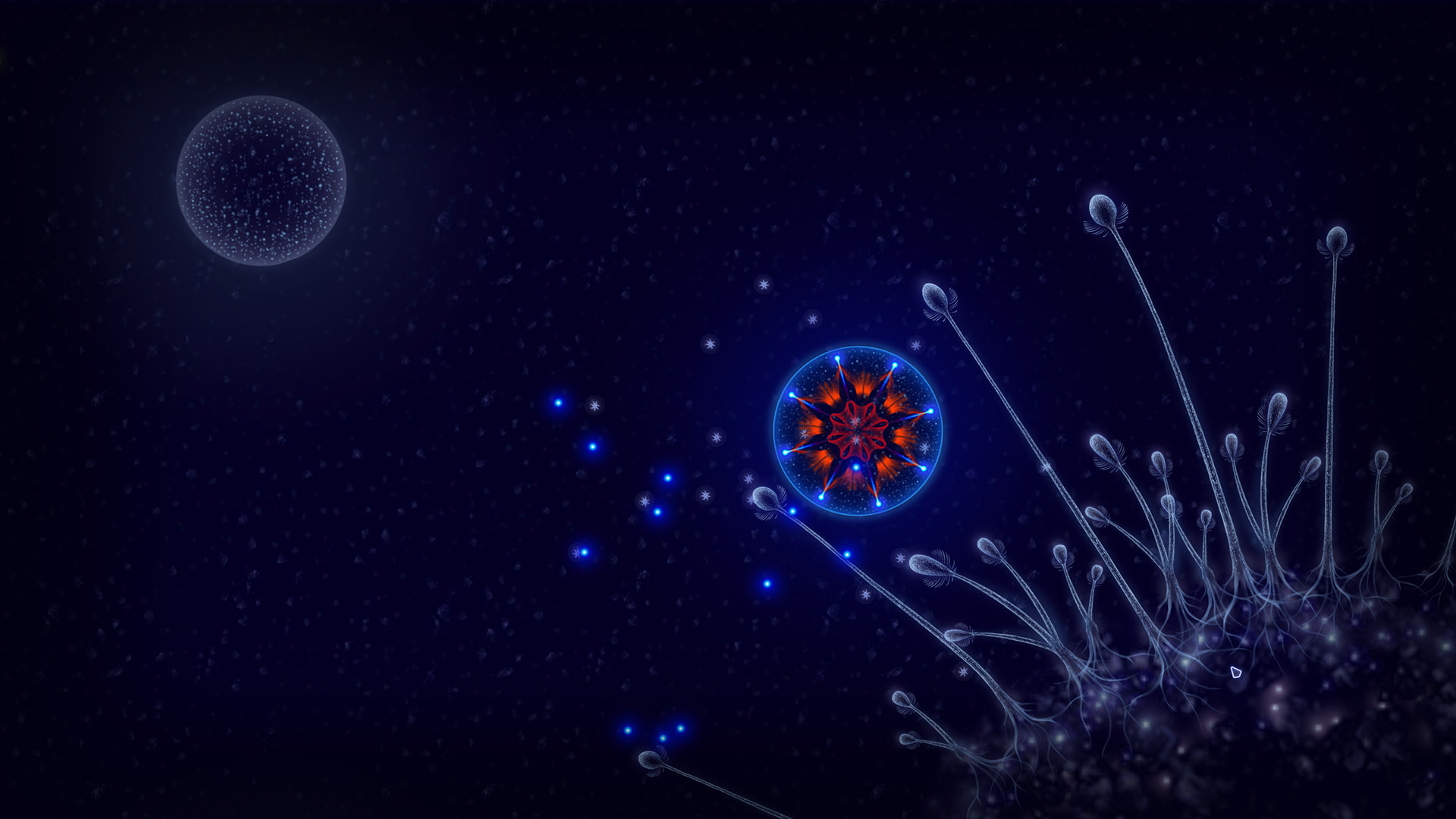 微观世界:细胞生存/细胞生存战/Microcosmum: survival of cells