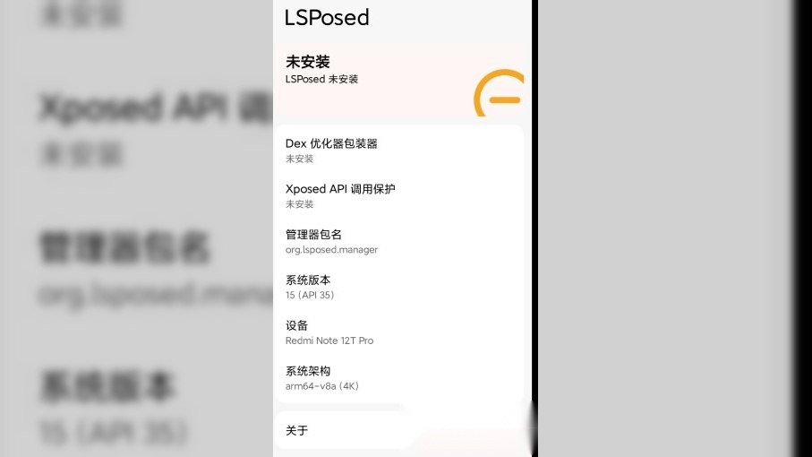 LSPosed_v2.2.1(7927)-第2张插图