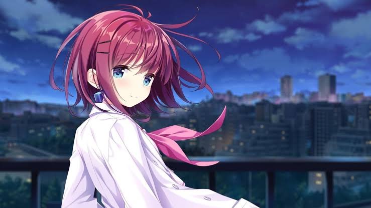 8款游戏确认登陆Switch平台，《魔法工艺：我的魔法礼服店》10月2日发售