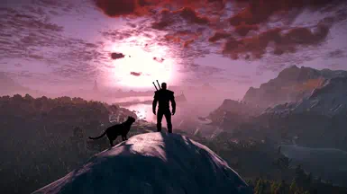 《巫师3：狂猎重制版》宠物猫伙伴MOD V1.0