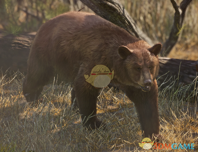 《动物园之星》美洲黑熊物种添加MOD