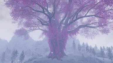 《上古卷轴5：天际重制版》永春之树MOD V1.0
