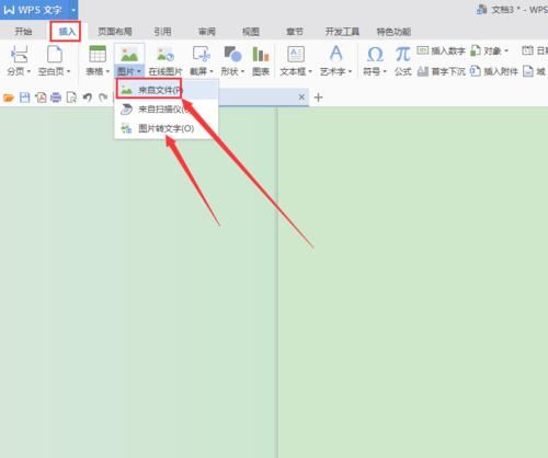 WPS图片怎么转成文字